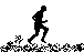 runr.gif (1697 bytes)